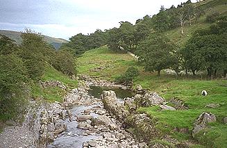 Borrow Beck
