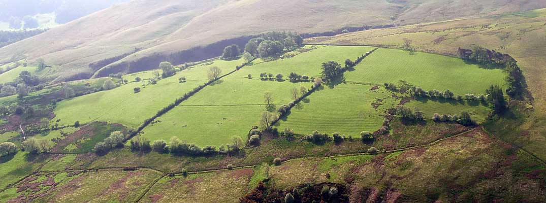 Coledale Fields