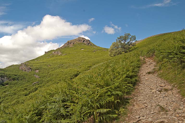 Grey Crag, Grasmere