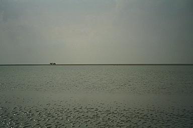 Out in Morecambe Bay